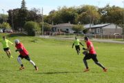OTFL Gallery Image